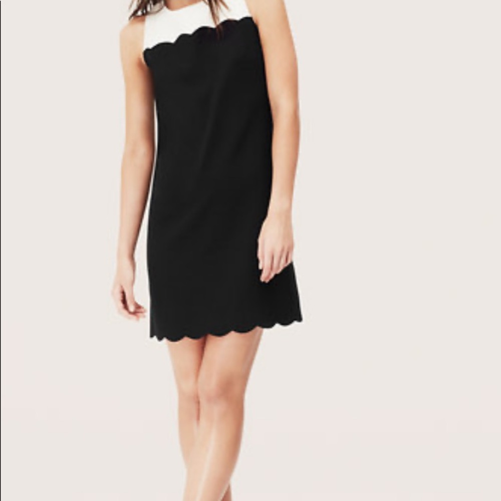 Ann Taylor loft scallop dress size 8.